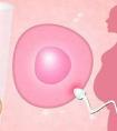做试管婴儿会导致卵巢功能衰竭吗？
