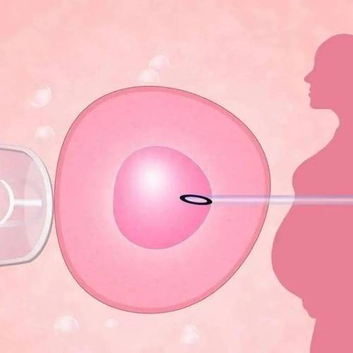 深圳龙凤胎助孕价格-子宫环境对试管婴儿胚胎的影响。