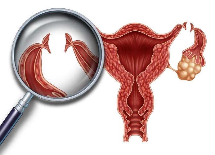 深圳合法三代试管婴儿套餐:深圳试管婴儿囊胚移植的标准是什么，在精子不多的情况下。