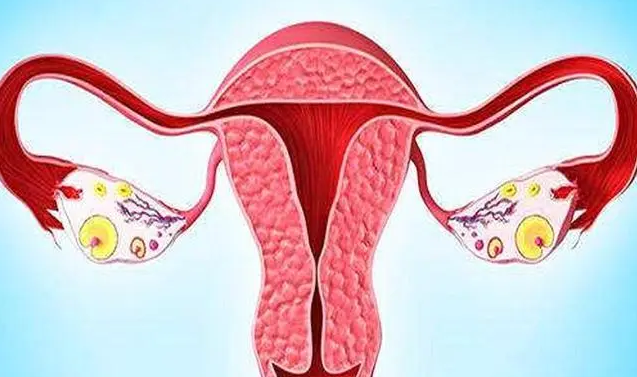 影响试管婴儿的三种卵巢疾病，了解卵巢的重要性!