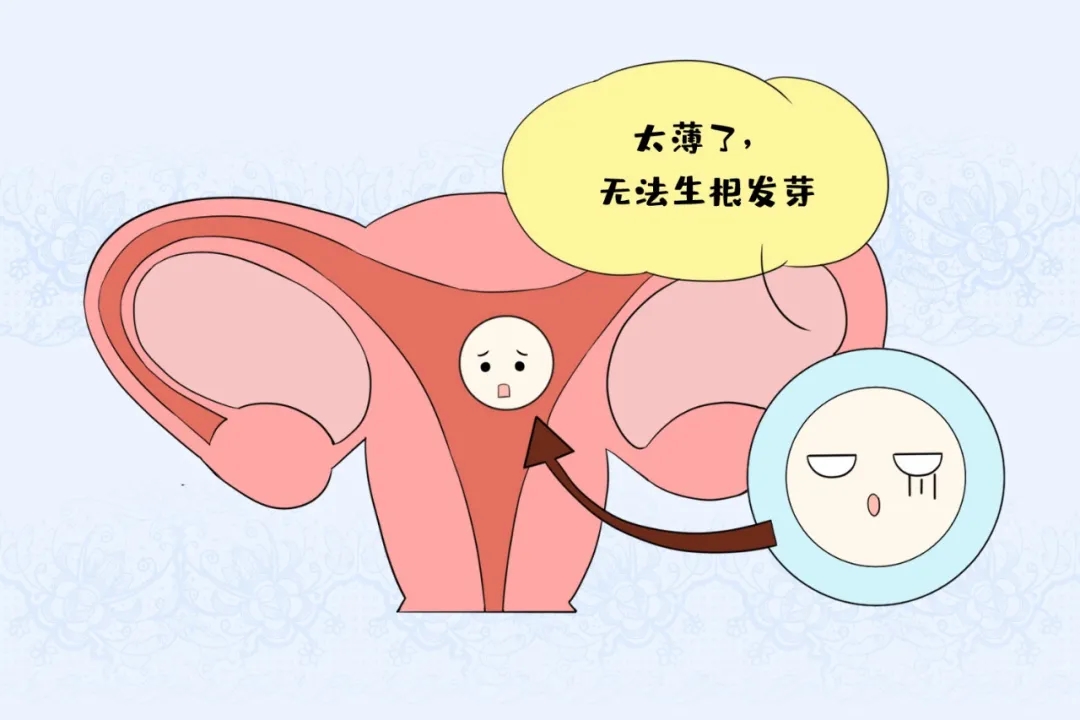 子宫内膜太薄了，到底该怎么办？