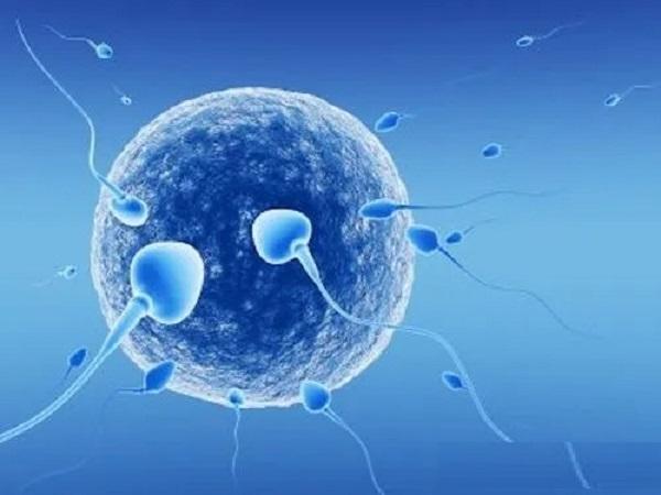 精子畸形高还能受孕吗？能做试管婴儿吗？