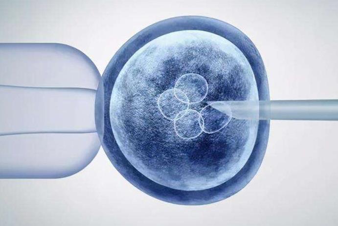 卵泡大小和试管婴儿的成功有关系吗？