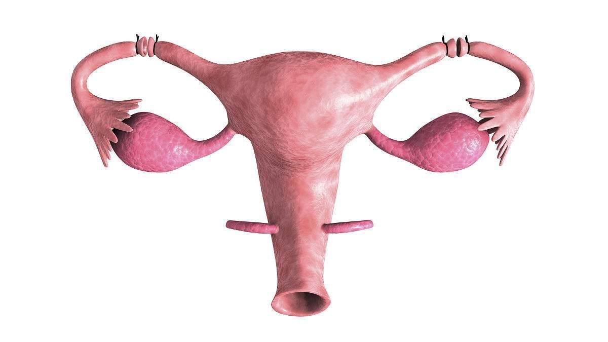 子宫肌瘤是一种什么病,子宫肌瘤是一种什么病