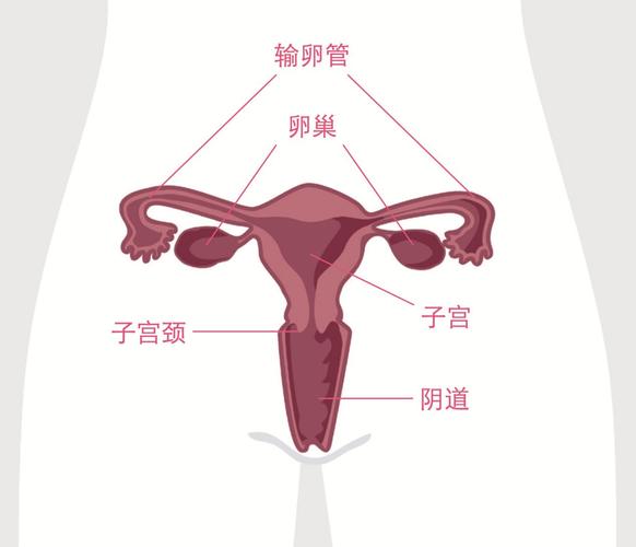 重庆女性得卵巢囊肿需要手术吗
