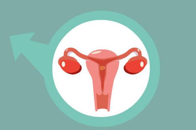 卵巢早衰的主要病因是什么,卵巢早衰是一种病吗