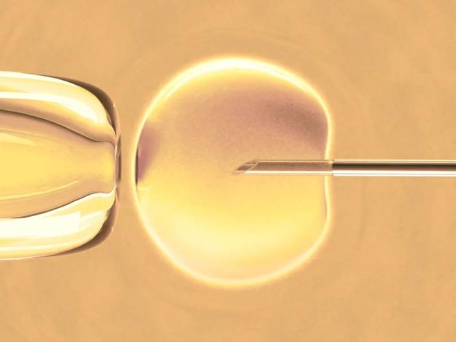 卵巢功能早衰如何治疗三个方法还你健康卵巢,卵巢功能早衰如何保健