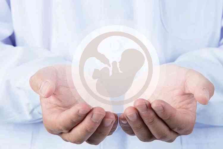泰国试管婴儿诊所指南，萨米泰医院在代表和客户眼中的区别。