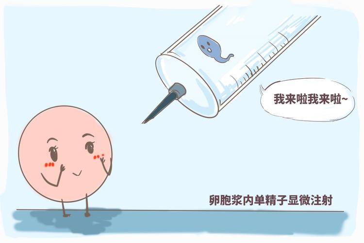 赣州男同合法供卵：江西省目前的选择性别的试管婴儿价格结构。