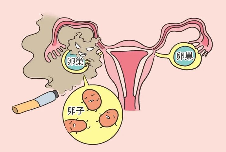 输卵管积液明显的症状表现有哪些