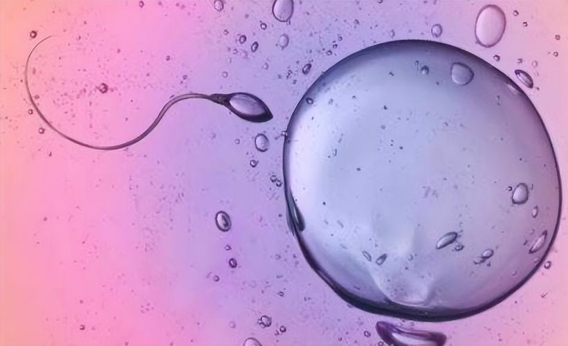 精子浴是否真的能够改善皮肤？