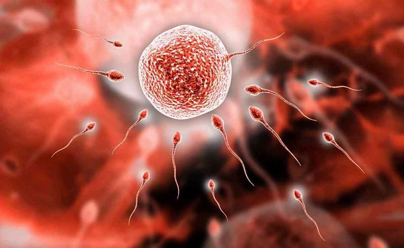 多囊卵巢综合征需要监测排卵吗？
