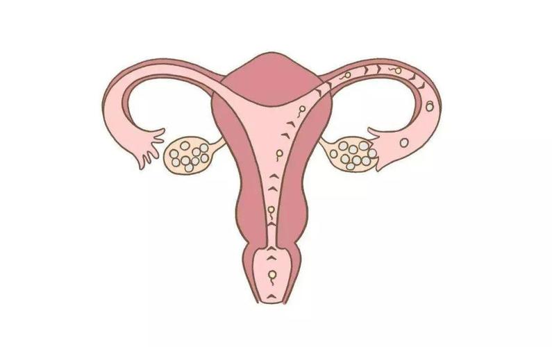 右侧卵巢发生多囊状改变，需要注意什么？如何治疗？